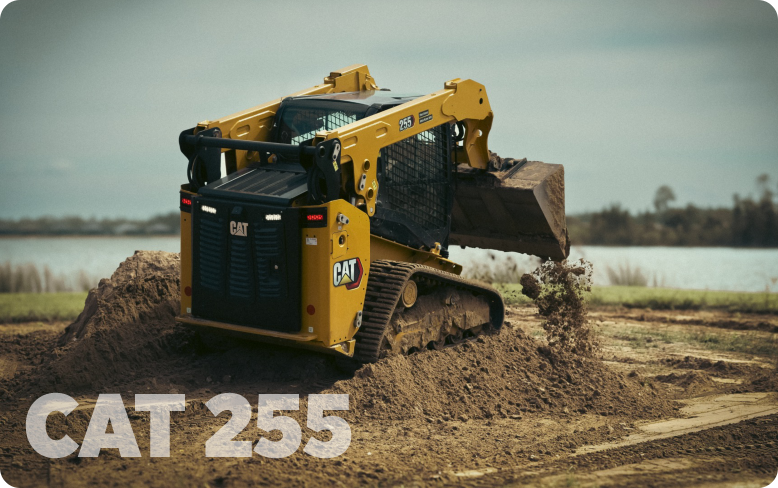 Cat 255